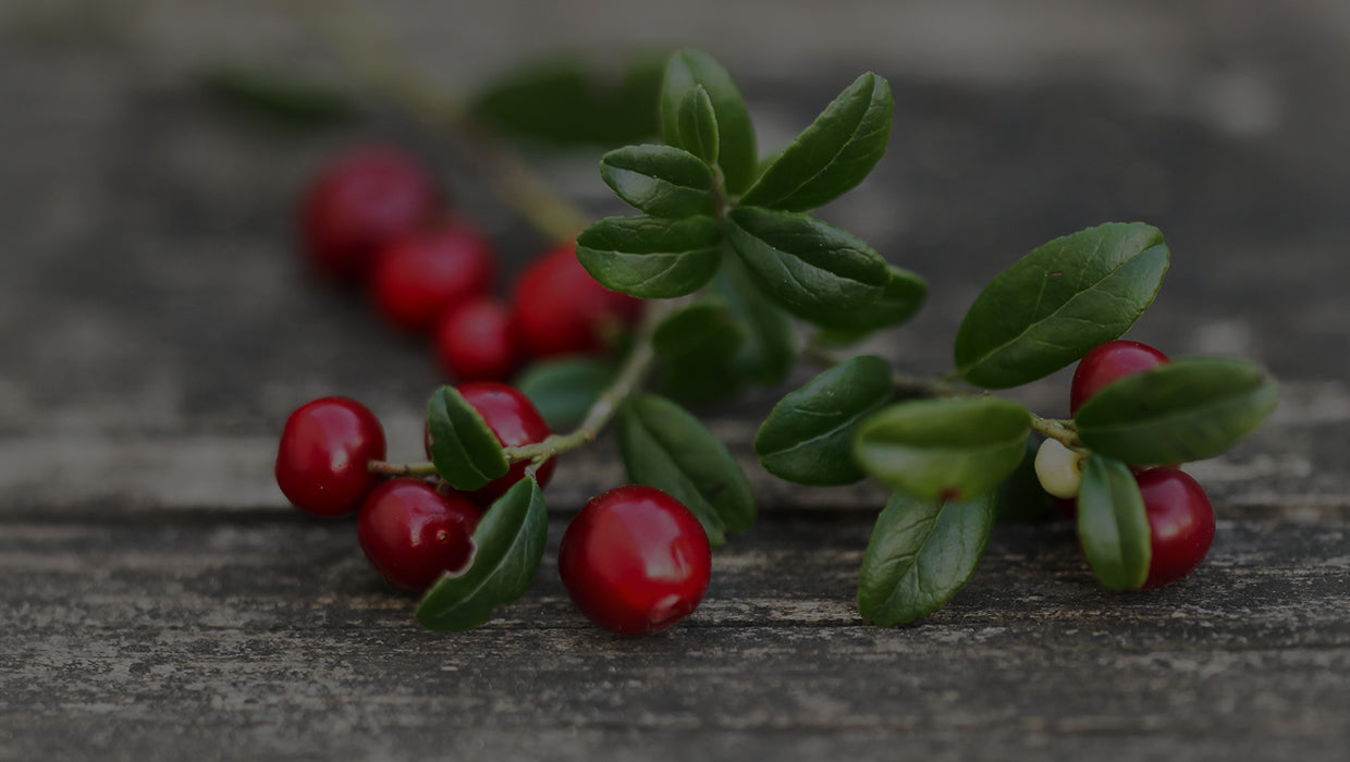 cranberry