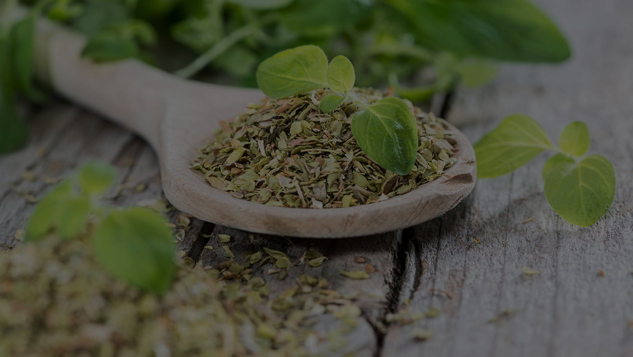 Oregano leaf