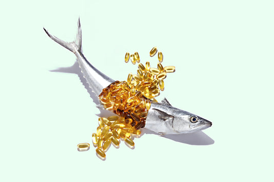Top Tips for Choosing a High-Quality Omega-3 Oil