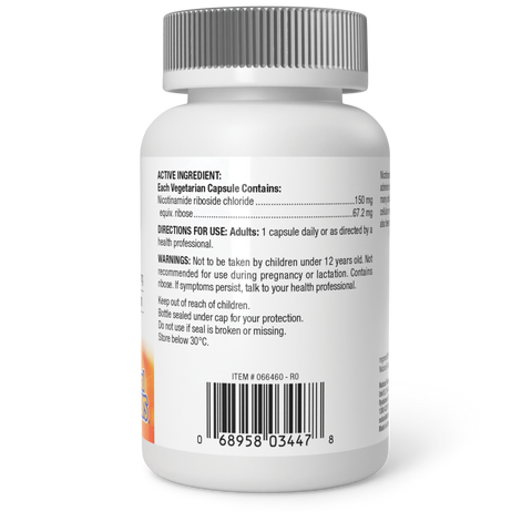 Nicotinamide Riboside