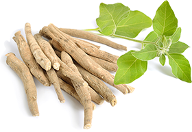 files/Ashwagandha_HealthBenefits_Mbl.png