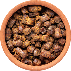 files/Bowl_BeePropolis.png