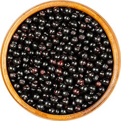 files/Bowl_BlackElderberries.png