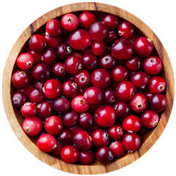 files/Bowl_Cranberry_f7550681-cc95-45b0-9564-76537913b8f4.png