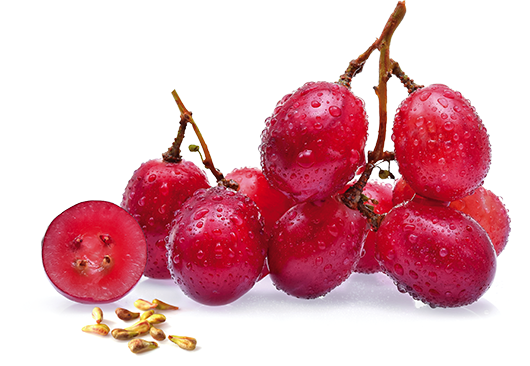 files/GrapeSeed_HealthBenefits_Dsktp.png