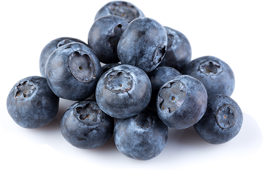 files/HealthBenefits_Blueberry_Dsktp.png